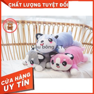 Gấu Bông Mèo Husky siêu to khủng lồ, thú nhồi bông mặt ngáo, gối ôm mèo ngáo size 40m-1m6