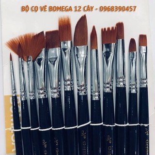 Bộ cọ vẽ tranh Bomega 12 cây