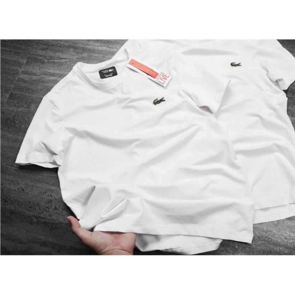 Áo Phông Nam Không Cổ Cá Sấu ( A002) | BigBuy360 - bigbuy360.vn