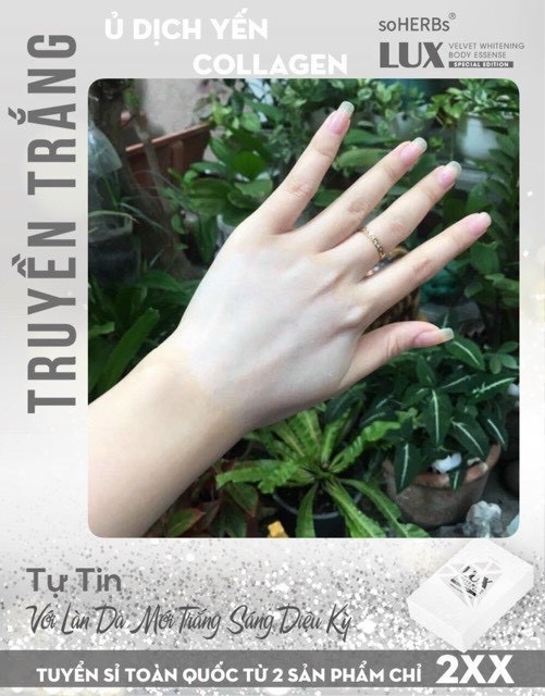 𝐓𝐑𝐔𝐘Ề𝐍 𝐓𝐑Ắ𝐍𝐆 Ủ 𝐃Ị𝐂𝐇 𝐘Ế𝐍 𝐂𝐎𝐋𝐋𝐀𝐆𝐄𝐍👍🏻 | BigBuy360 - bigbuy360.vn