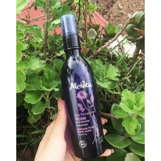 Nước hoa hồng melvita