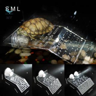 Bệ Acrylic cho hồ rùa có thể làm nền cho trang trí hồ thủy sinh