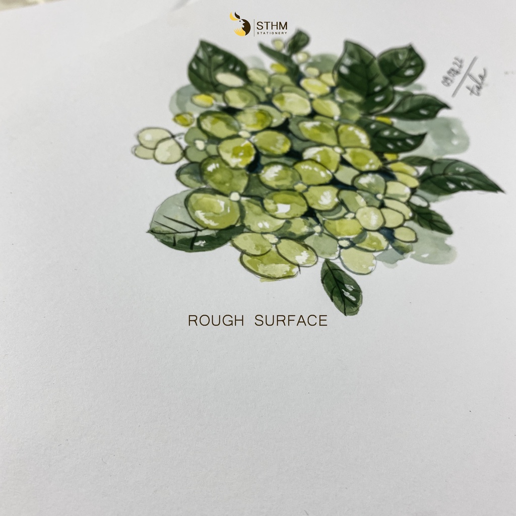 Giấy vẽ màu nước - Canson 300gsm vân rough - Louzan Art - Vẽ màu nước, marker touchliit - STHM stationery