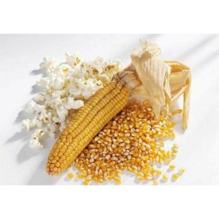 2KG BẮP NỔ - MỸ (DÙNG LÀM MÓN BẮP RANG BƠ)