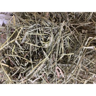 1kg cỏ khô lót chuồng cho  hamster