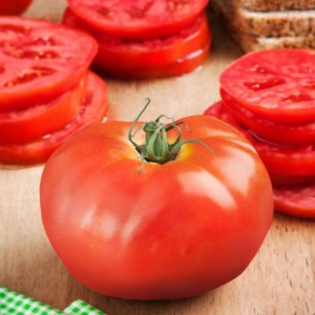 Gói 500 hạt giống cà chua khổng lồ