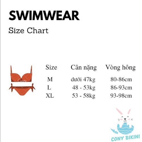 ⚡ Bộ bơi đi tắm biển nữ Bikini 1 Mảnh (Set 2 Đồ Áo liên quần lót) Lovel II NAM Cony .