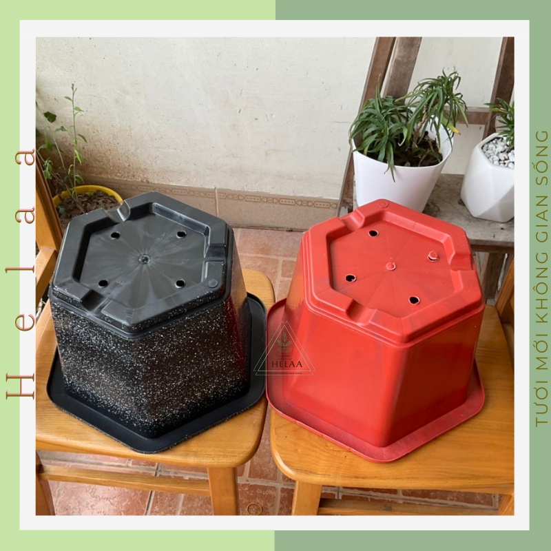 Chậu Nhựa Trồng Cây Lục Giác, Chậu Cây Cảnh To, Trồng Cây Hoa, Tiểu Cảnh, Bonsai Siêu Đẹp Nhiều Kích Cỡ