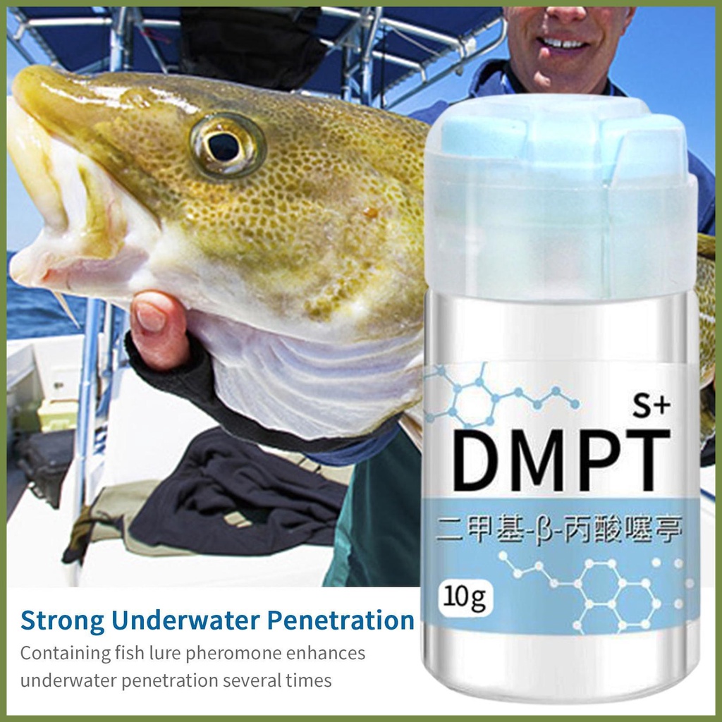 Dmtp Phấn Bắt Cá Chép Chất Lượng Cao
