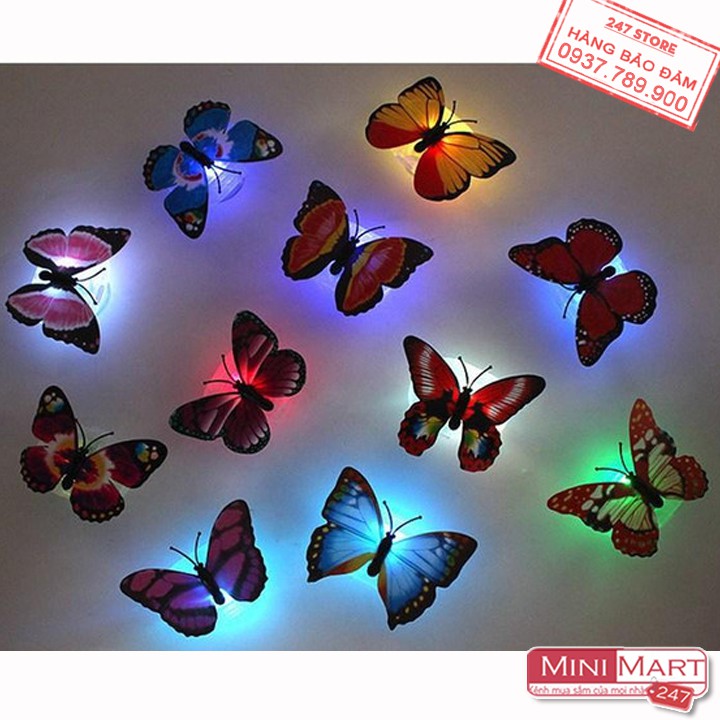 Combo 5 Đèn Led Dán Tường Hình Bướm