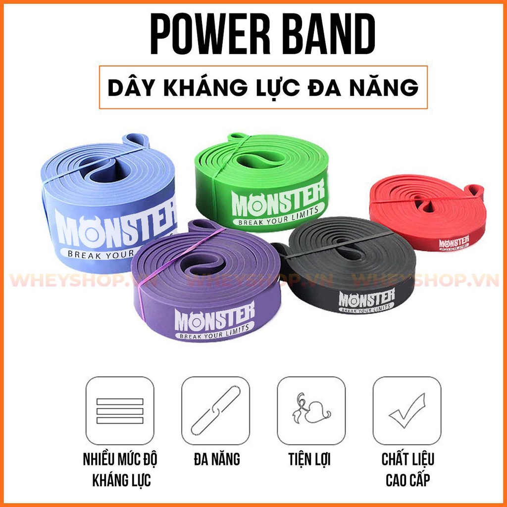 [Giá Rẻ] Dây Kháng Lực Tập Gym Power Band Monster 15 - 125lbs