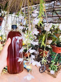 Mật ong hoa cà phê Đăk Lăk 2 lit