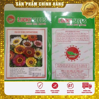 Hạt giống hoa Cúc Chi mix (100 hạt )