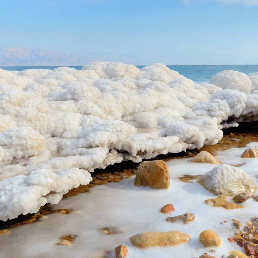 The dead sea shop