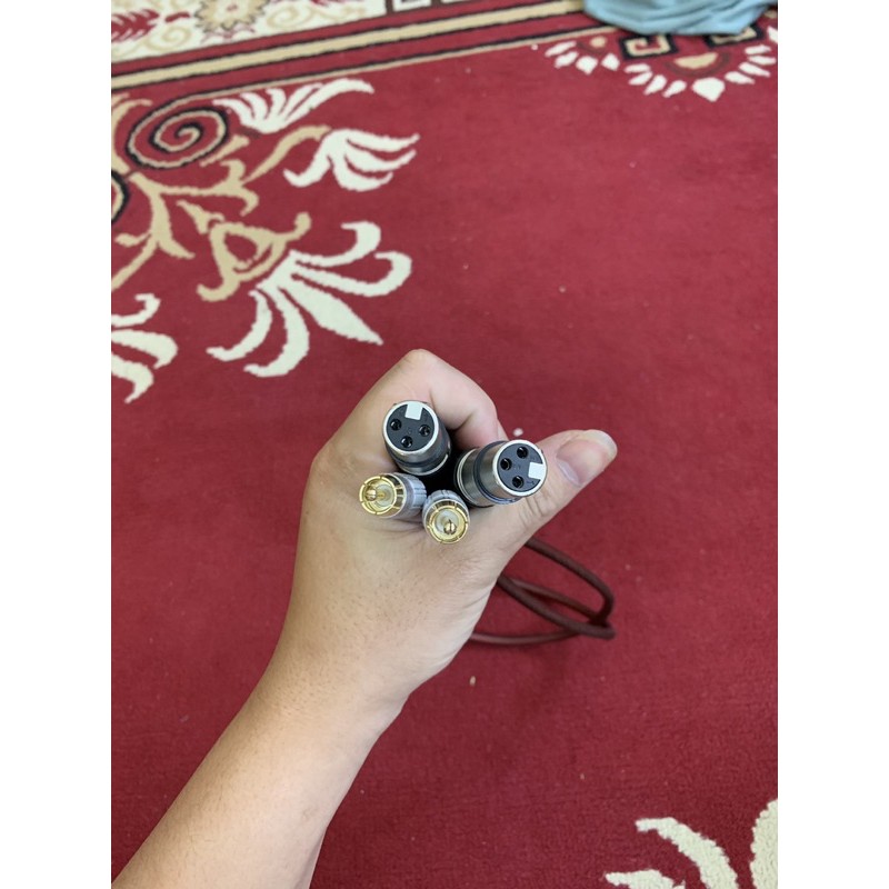 Giắc cắm canon ra hoa sen