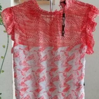 Sơ mi Eva de eva size S new nguyên tag