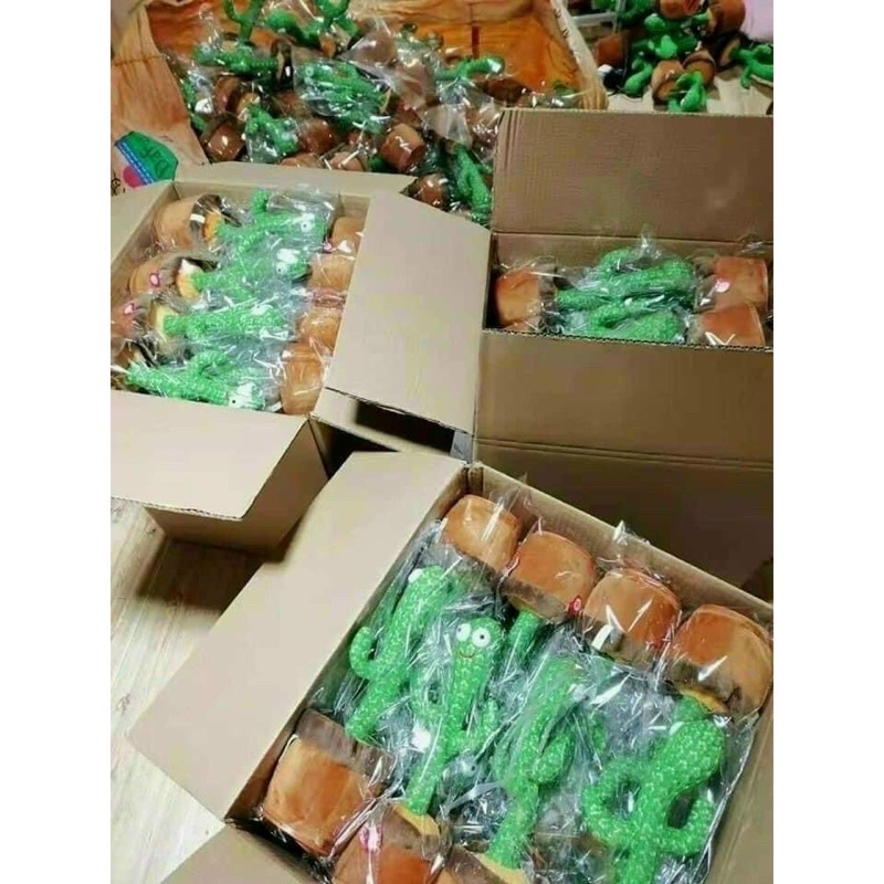 Xương Rồng Nhảy Múa Vui Nhộn, Nhại Tiếng, Sạc USB, Hát Tiếng Việt