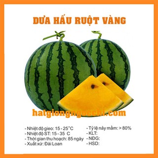 Hạt Giống Quả Dưa Hấu Ruột Vàng - 10 Hạt