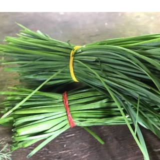 1gr hạt giống hẹ xanh cao sản