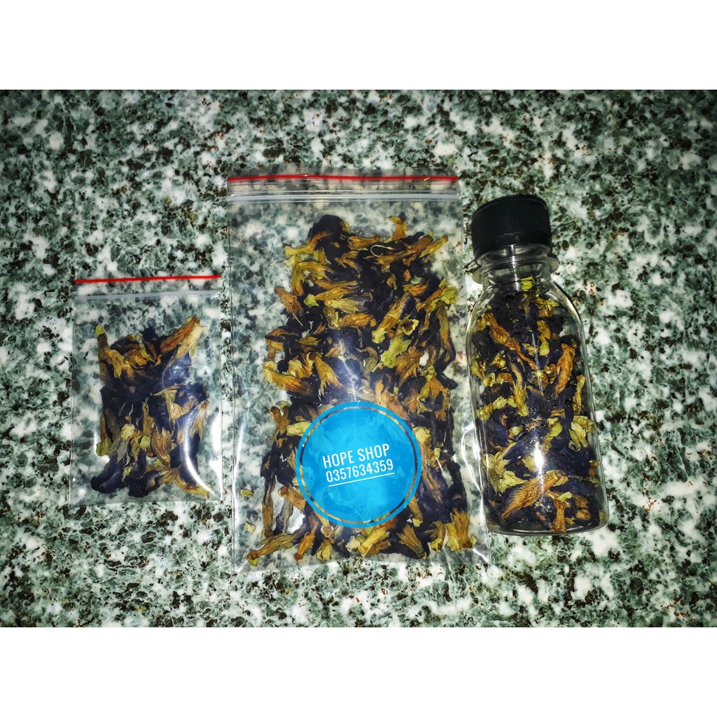 Hoa đậu biếc giải nhiệt cho Hamster