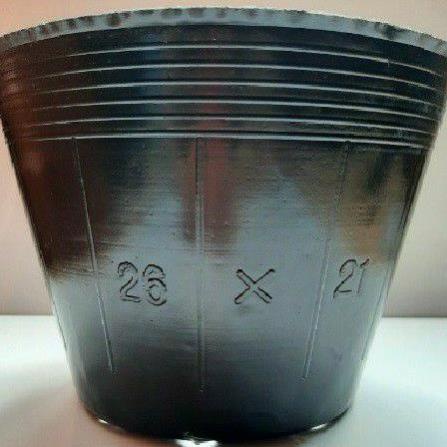 1kg bầu ươm cây giống(Hàng loại 1)