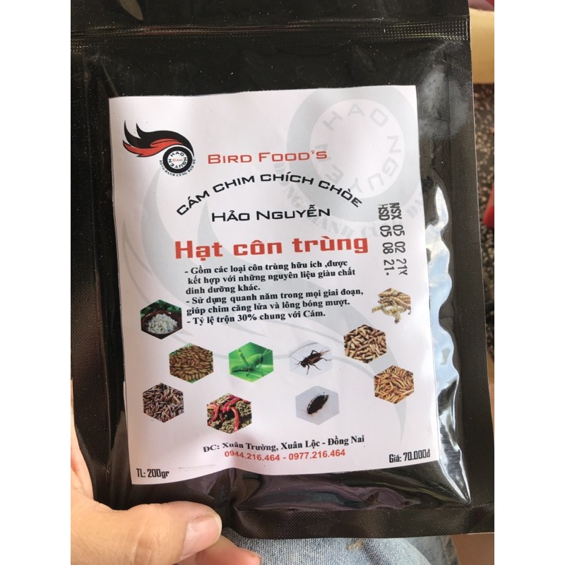 combo 2 hạt côn trùng Hảo Nguyễn
