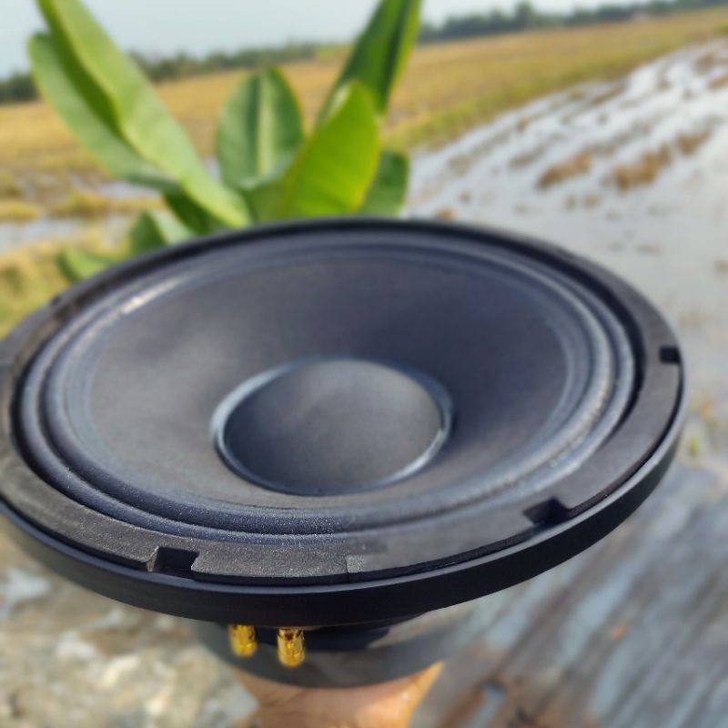 Bass RCF 2.5 Coil 65 Từ 156 Sườn Đúc Màng Giấy 2 Gân