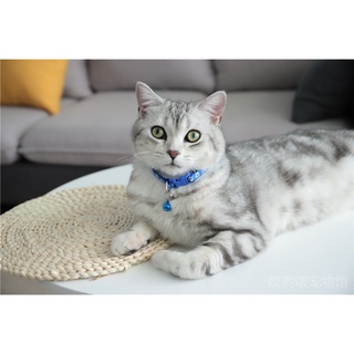 Vòng Cổ Có Chuông Dễ Thương Có Thể Điều Chỉnh Cho Thú Cưng Fashinrandy
