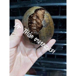 10  quả la hán 8cm