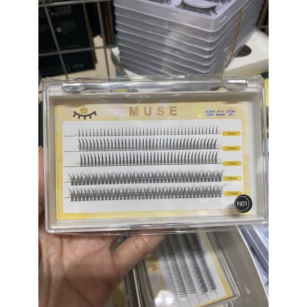 Mi muse cụm