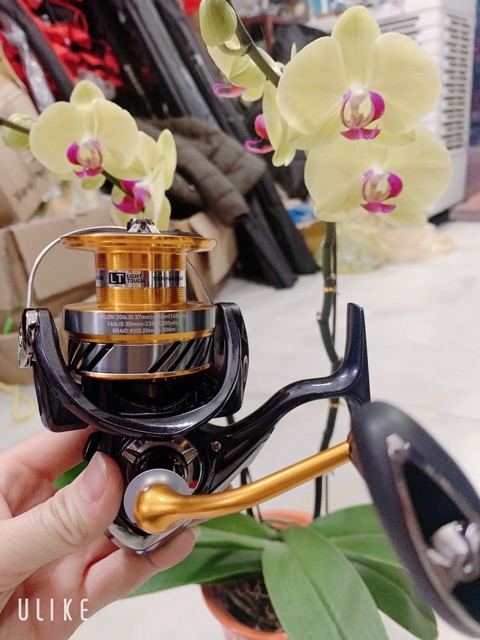 máy câu DAIWA Revros LT 6000 máy cực khoẻ y hình