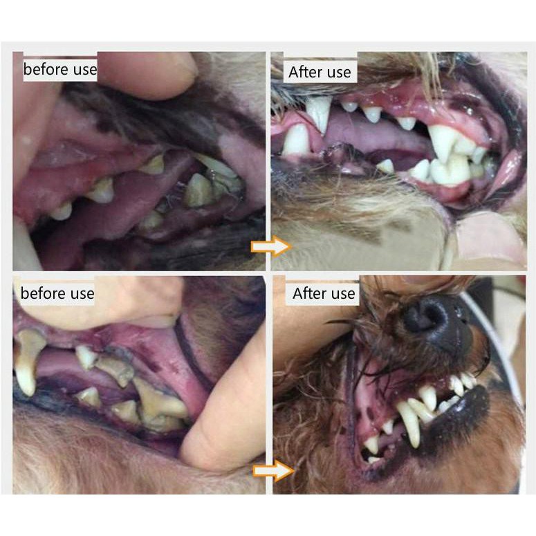Set kem đánh răng thú cưng hương vani thịt bò vệ sinh răng miệng cho chó mèo
