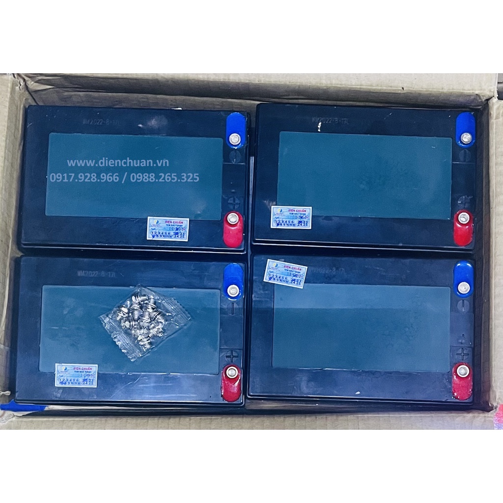 Một bộ 4 bình ắc quy xe đạp điện 48V 12Ah PANDORA 6-DZF-12 ( Model: 14 )