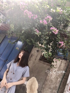 Đầm cổ vest