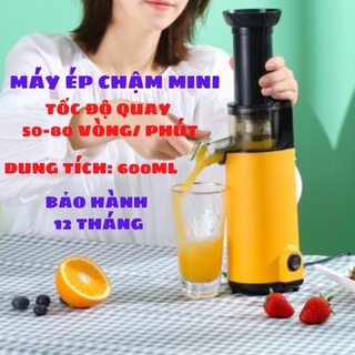 Máy ép chậm trái cây mini