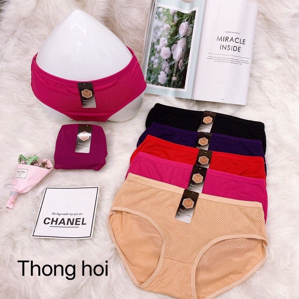 Quần Lót, Quần Chip Nữ Cotton Thông Hơi Mềm Mịn Thoáng Mát Nhiều Màu Sắc Dễ Thương Free Size