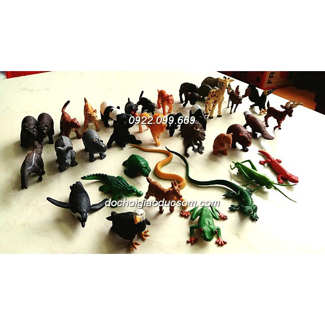 Mô hình 36 động vật hoang dã mini Safari - bé học thế giới xung quanh