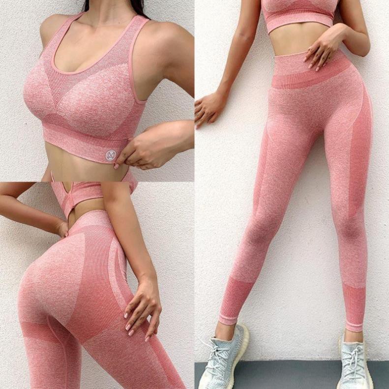 Set Bộ Tập Gym, Yoga Dệt Kim Naqi Phối Sọc Duyên Dáng Quần Cạp Cao Ôm Bụng Bra có Mút Lót Cao Cấp 😍 '