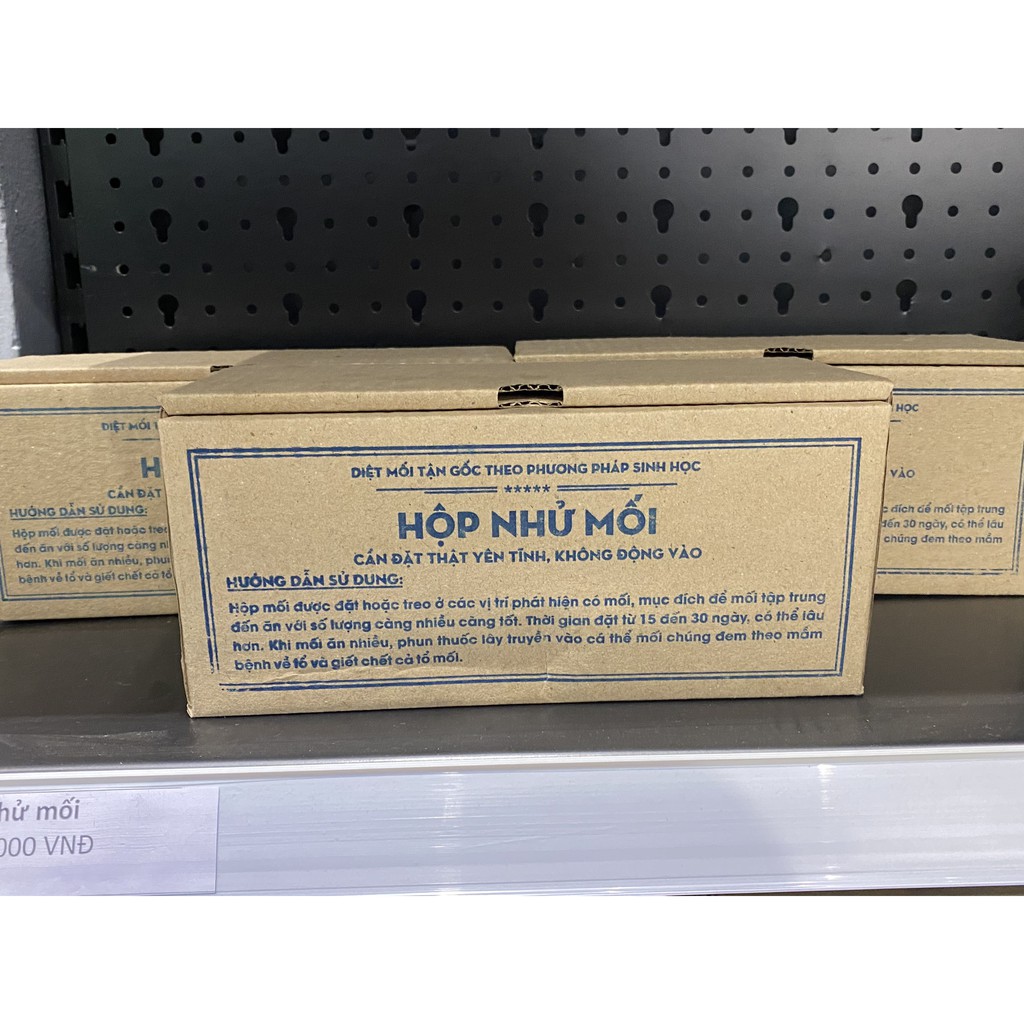 Hộp nhử mối