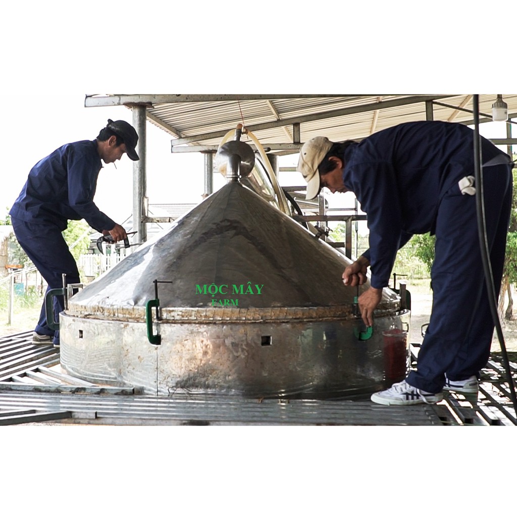 Tinh dầu táo nguyên chất Mộc Mây chai 50ml (Có kiểm định bộ y tế, chất lượng và mùi hương vượt trội)