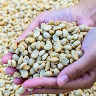 (2 Gói 500gr) Combo 1Kg Cà Phê ARABICA Cầu Đất Rang Mộc - BDN Coffee