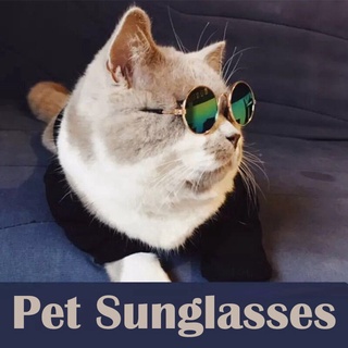 Kính mát chụp ảnh đáng yêu cho thú cưng