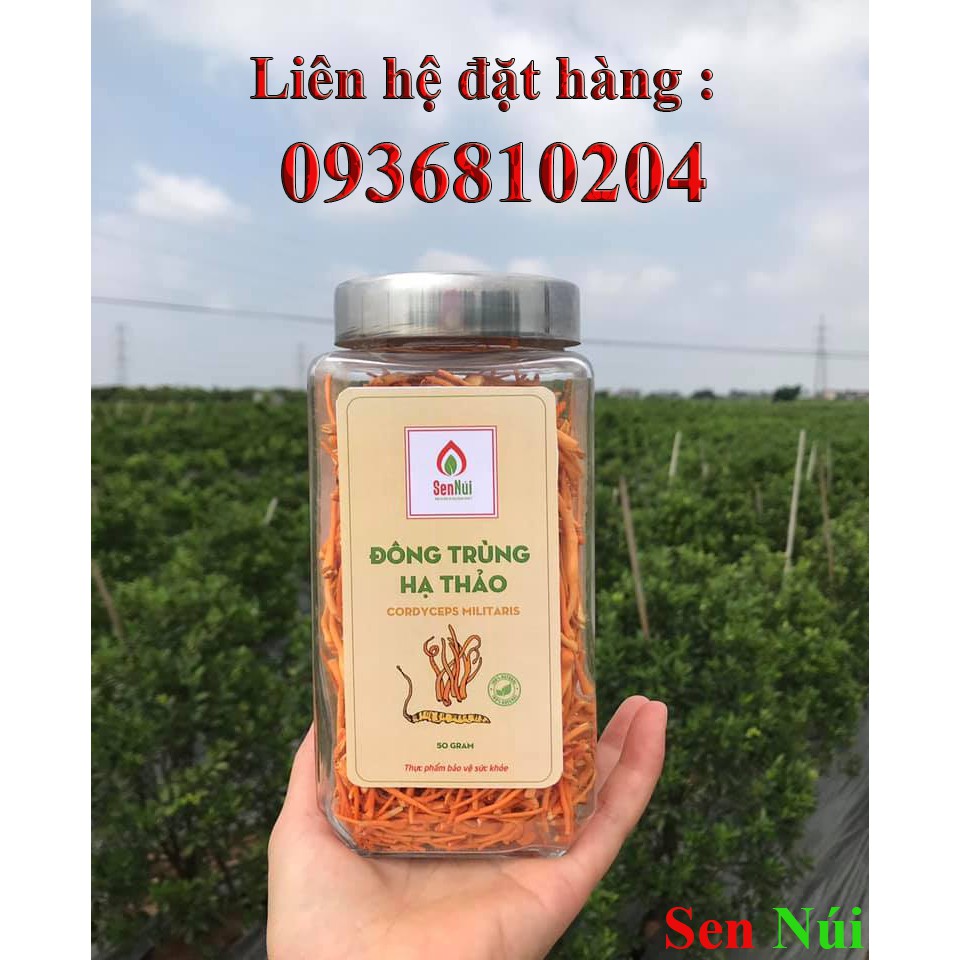 [Giảm 10% đơn 450K] (35gr) Đông trùng hạ thảo khô sấy thăng hoa Sen Núi