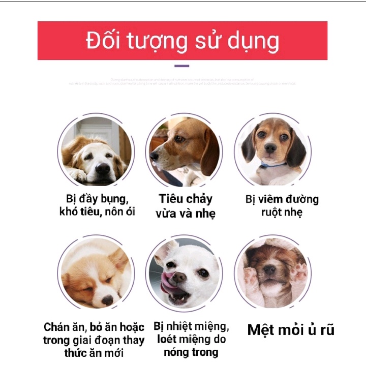 Hộp 10 gói Men vi sinh Men tiêu hóa cho chó mèo thú cưng Borammy - Hàng chính hãng có tem chống giả