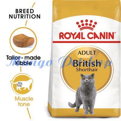 Thức Ăn Cho Mèo Anh Lông Ngắn Trưởng Thành Royal Canin British Shorthair Adult Túi Hãng 2Kg