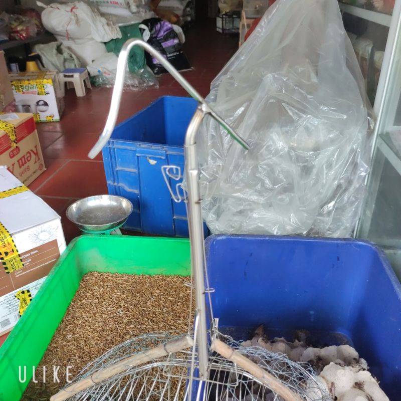 Lồng bẫy chào mào inox 2 mặt hình quả đào , lồng bẫy chim các loại siêu nhạy , loại mới fom đẹp