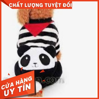 Áo FBI cho cún- sunsun