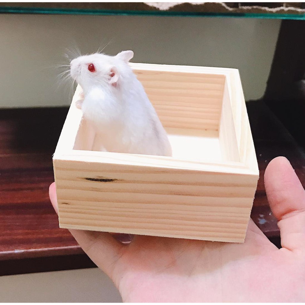 Bồn tắm gỗ cho hamster