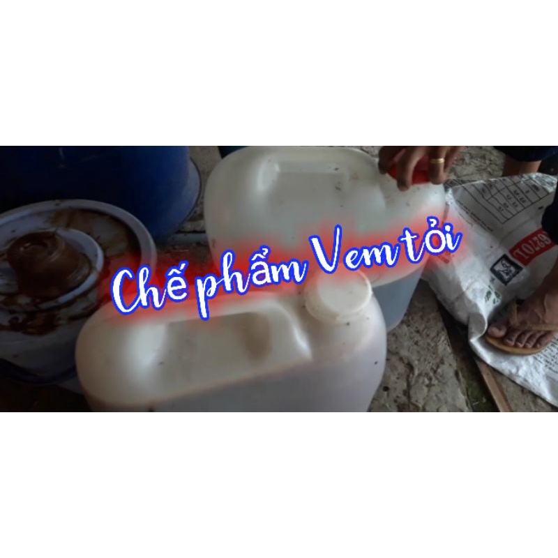 Men ủ tỏi, ủ men thứ cấp BIO PHƯƠNG NAM