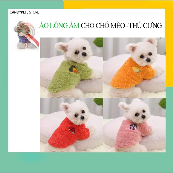 Quần áo thú cưng thời trang cho chó mèo size lớn nhỏ mặc mùa đông đón Noel Tết Giang Sinh giá rẻ hình HOA QUẢ  CANDYPETS